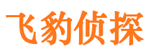 那坡侦探公司